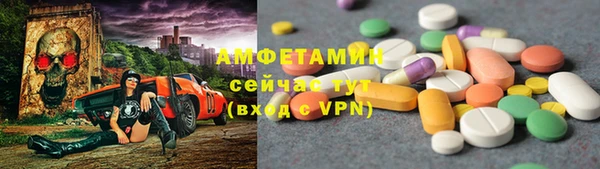 СК Новозыбков