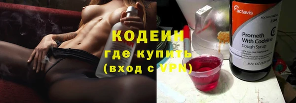 СК Новозыбков