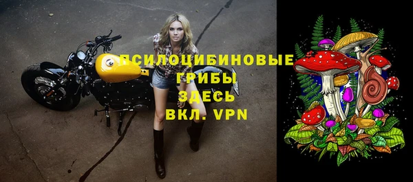 СК Новозыбков