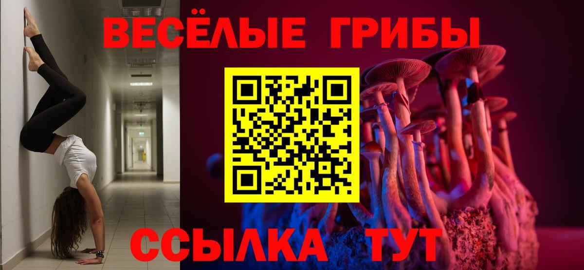 Галлюциногенные грибы Cubensis Краснокаменск