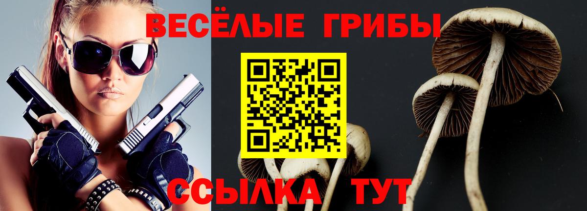 Галлюциногенные грибы Psilocybine cubensis  Вход с VPN  Краснокаменск 